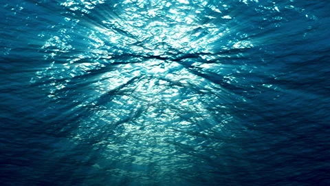 View from under the water to the sea surface and  rays Stock Footage 146290326