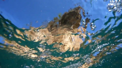 View from under the water to the shore Stock Footage 111875744