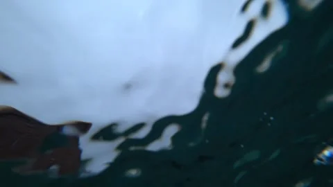 View from under the water to the sky and rain. Vídeos de archivo 294688001
