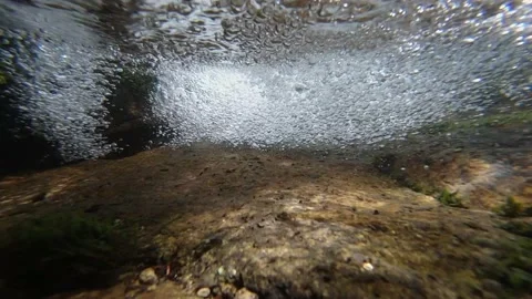 View from under the water of a small river waterfall and underwater plants in Stock Footage 131553247