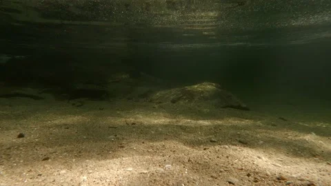 View from under the water of a small river in clear transparent water. Stock Footage 135539382