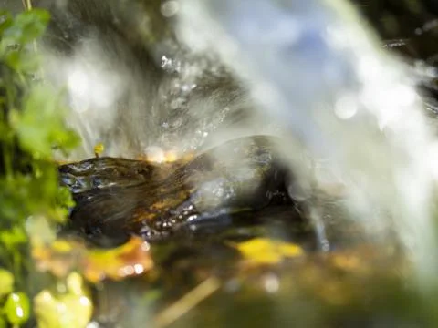 View under the wave of the stream Stock Photos