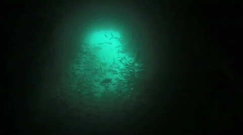 View from an underwater cave Stock Footage 278216