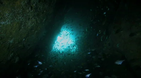 View from an underwater cave Stock Footage 735782