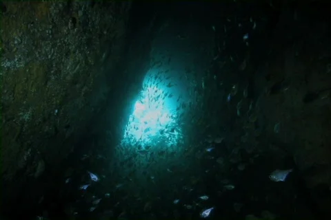 View from an underwater cave Stock Footage 735915