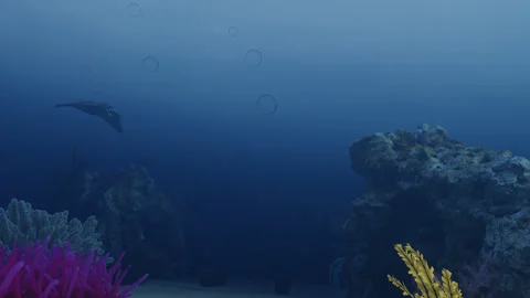 View of underwater life. camera under the ocean with corals and shark Stock Footage 280222439