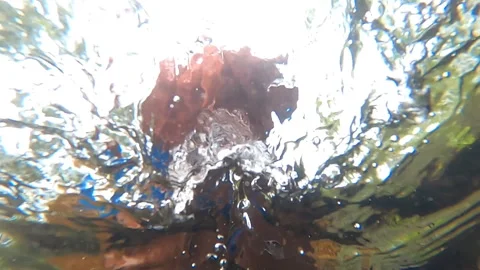 View underwater slow motion of a man scooping water with his hands from a pond. Stock Footage 147401163