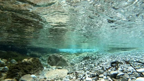 View underwater of strong undercurrent of mountain river Vertova. Stock Footage 113064592