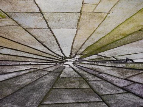 View of unique Spider's Web Rice Fields, Indonesian island of Flores. Stock Photos