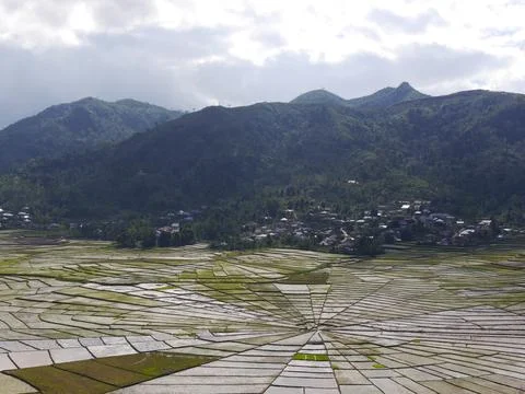 View of unique Spider's Web Rice Fields on the Indonesian island of Flores. Stock Photos