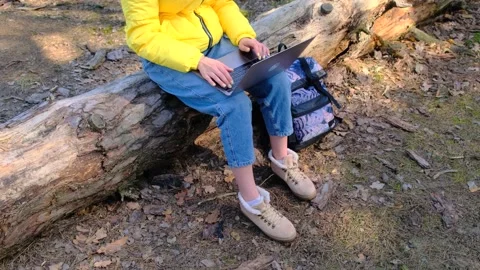 View of unknown woman using laptop while sitting in forest on log on sunny fall Video stock 165520072