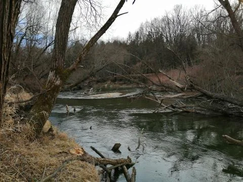 View upper the river ...... Serie 11. from 23 shots Stock Photos