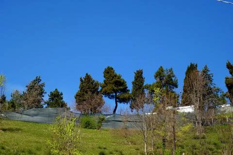 View from Urbino Stock Photos