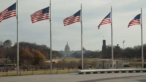 View of the us capitol with american flags waving in wind in washington dc Stockbeeldmateriaal 122132307
