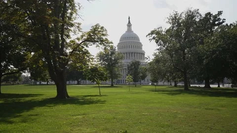 View of US Capitol through trees and green grass in Washington, DC on a sunny Stock Footage 212063643