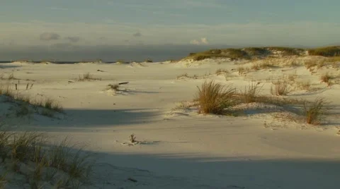 View of vacant beach Stock Footage 55571510