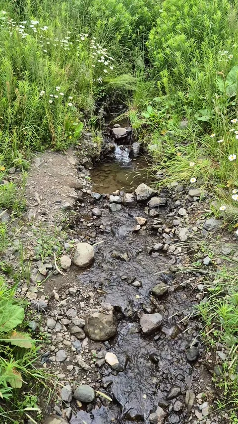 A view of Val Duron near Campitello di Fassa - Val di Fassa - Italy Stock Footage 280354209