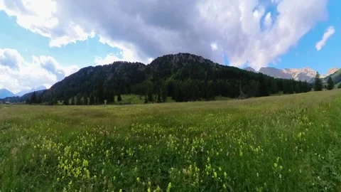 A view of Val Duron near Campitello di Fassa - Val di Fassa - Italy Stock Footage 290396536