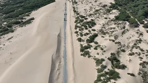 View of the Valdevaqueros dune in Tarifa, Spain Stock Footage 329639234