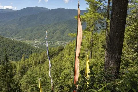 View of valley below with pray flags in foreground Stock-Fotos