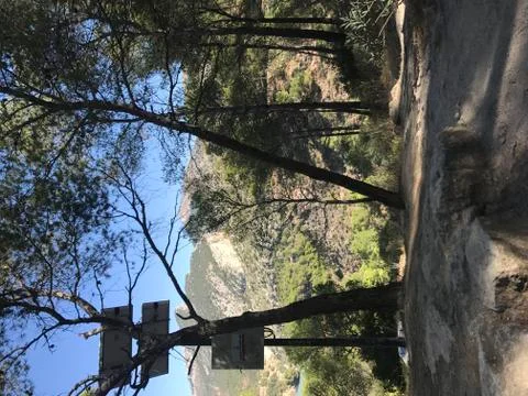 View to the valley between trees Stock Photos