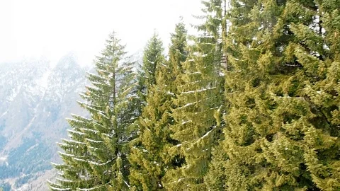 View of valley from cable car Stock Footage 73569182