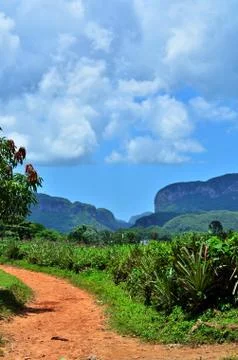 View of valley in Cuba Stock Photos