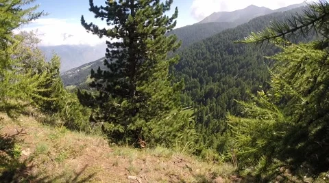 View on the valley - high mountain Stock-Footage 41397865