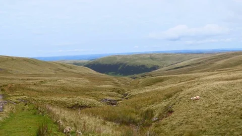 View of the valley of the hills. Stock Footage 80441723
