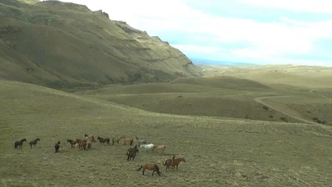 A View of the Valley with Horses in Foreground Video stock 100611777