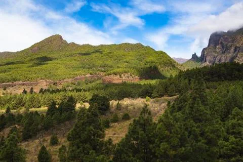 View from the valley to La Cumbrecita in La Palma, Spain. Stock Photos