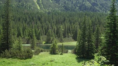 View of the valley of the mountain river in the Tatra mountains Stock Footage 113348376