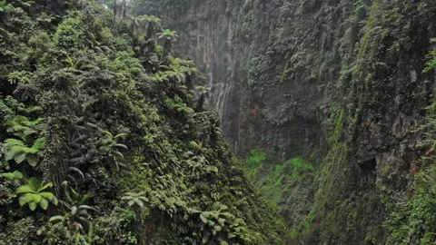 View of valley with powerful river and streams flowing and falling down Stock-Footage 235250453