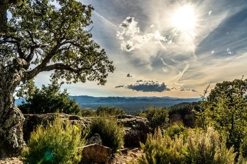 View on valley of roquebrune sure agens, cote d'azur, france Stock Photos