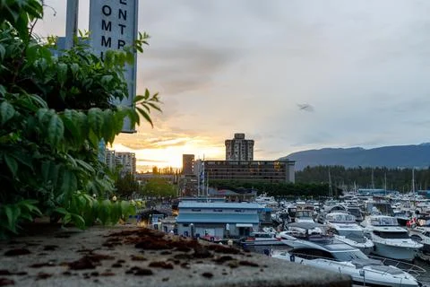 A view of Vancouver's marina at sunset, featuring luxury yachts docked at t.. Stock Photos