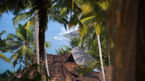 View of the Varkala beach coast with its amazing palm trees Stock Footage 93262030