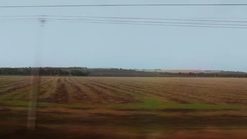 View of vast agricultural field with rows from moving train. Power lines cross Stock-Footage 325299086