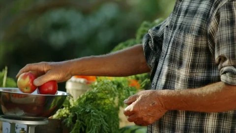 View of vegetable market. Stock-Footage 88404912