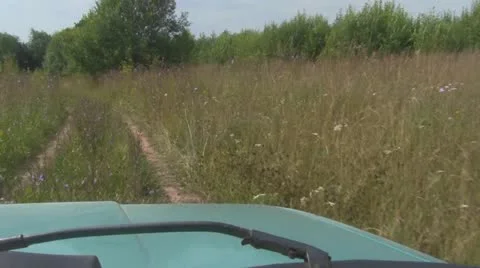 View from the vehicle 스톡 동영상 11962015