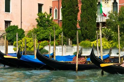 View of Venice. Stock Photos