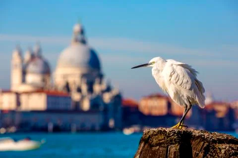 View of venice Foto stock