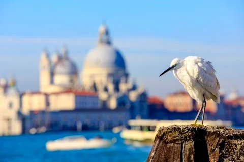 View of venice Foto stock
