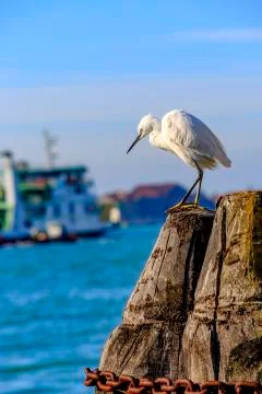 View of venice Foto stock