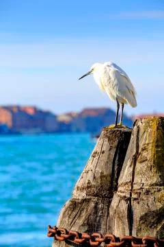View of venice Foto stock