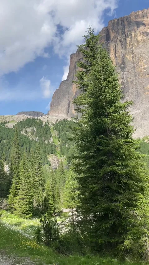 The view of vertical rocky ridges in Alpine mountain range in Italy Video stock 284463884