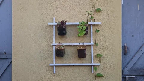 View of vertical wall planter made from recycled materials for eco friendly.. Vidéo 336042517