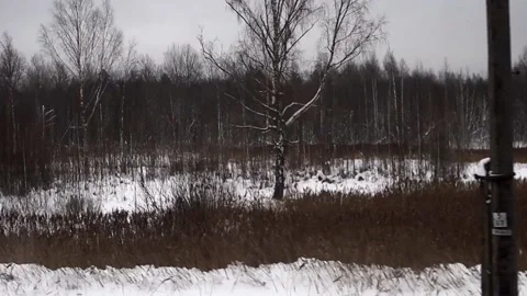 View from the vestibule window on the train in motion Stock Footage 183800283