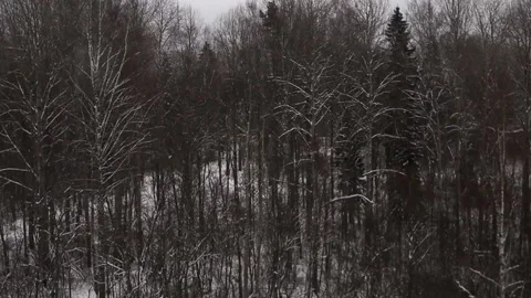 View from the vestibule window on the train in motion Stock Footage 183800572