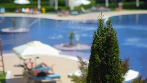View of a vibrant resort poolside with greenery, lounge chairs, and umbrell.. Stock Footage 293087523