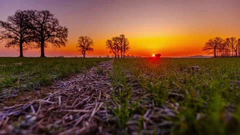 View of vibrant sunset over rural fields and trees in Latvia. Video stock 340638152